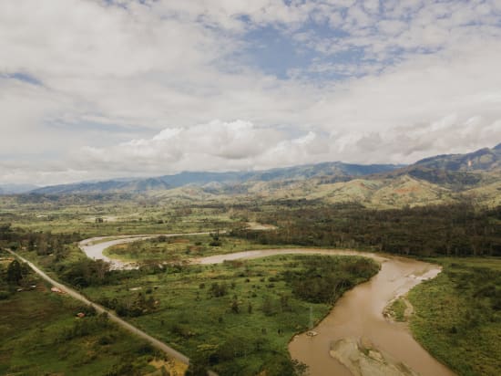 Papua New Guinea - Ulya - Light Roast