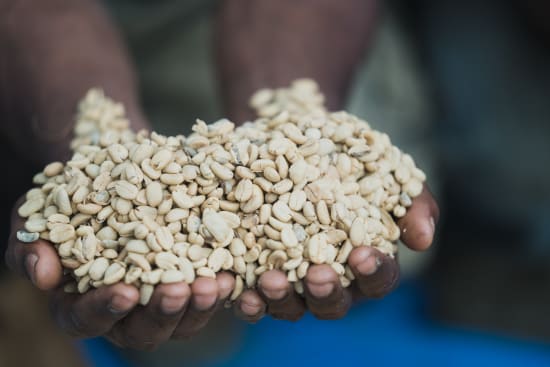 Papua New Guinea - Ulya - Light Roast