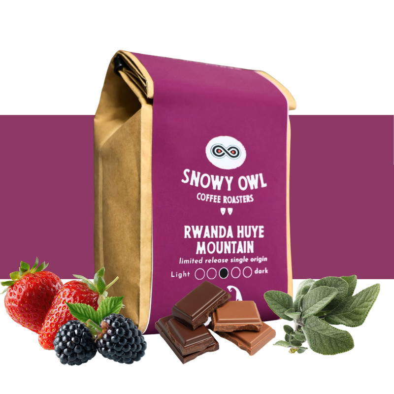 Snowy Owl Coffee Single Origin 3-Pack